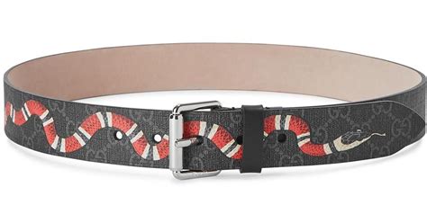 gucci belt w snake